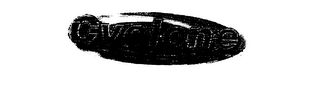 CYCLONE logo