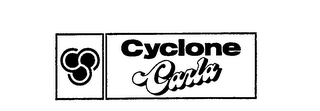 CYCLONE CARLA logo