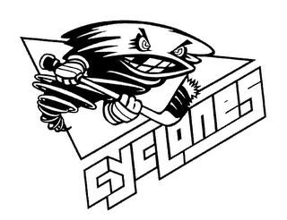 CYCLONES logo