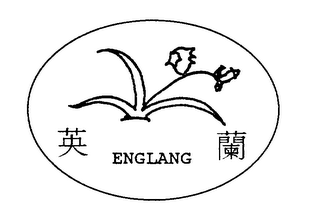 CYMBIDIUM (ENGLANG)