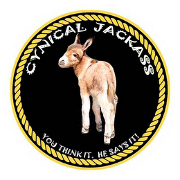CYNICAL JACKASS YOU THINK IT.  HE SAYS IT! logo