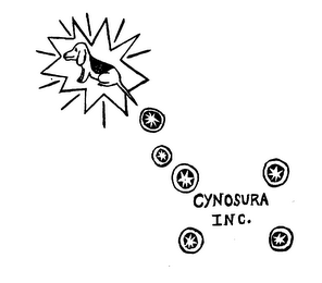 CYNOSURA INC. logo