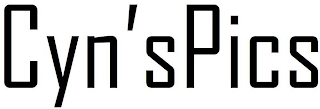 CYN'SPICS logo