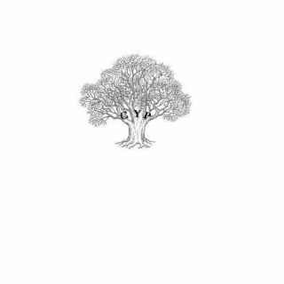 CYP logo