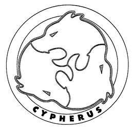 CYPHERUS logo