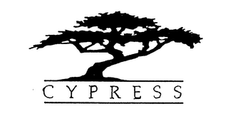 CYPRESS