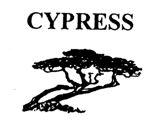 CYPRESS logo