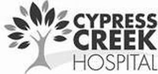 CYPRESS CREEK HOSPITAL logo