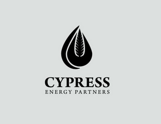 CYPRESS ENERGY PARTNERS logo