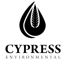 CYPRESS ENVIRONMENTAL logo