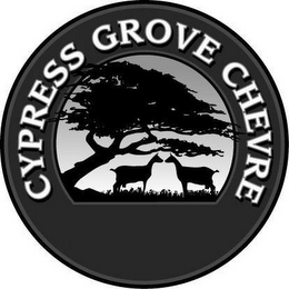 CYPRESS GROVE CHEVRE logo