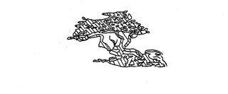 CYPRESS PACKAGING & SUPPLY CORP. logo