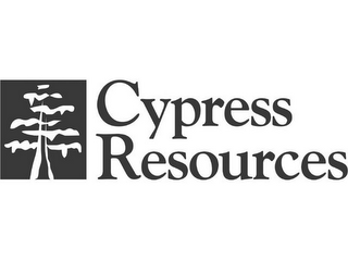 CYPRESS RESOURCES logo