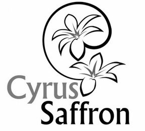 CYRUS SAFFRON logo