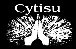 CYTISU logo