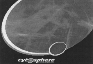 CYTOSPHERE SPORT NUTRITION logo