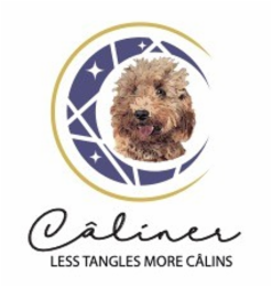 CÂLINER LESS TANGLES MORE CÂLINS logo