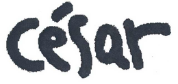 CÉSAR logo