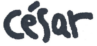 CÉSAR logo