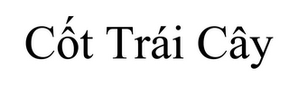 CÔT TRÁI CÁY logo