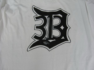 D 313 CHOP logo