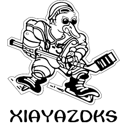 D-5 XIAYAZDKS logo