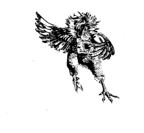 D logo
