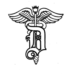 D logo