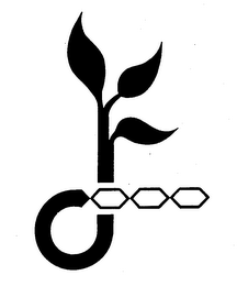 D logo