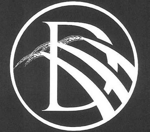 D logo
