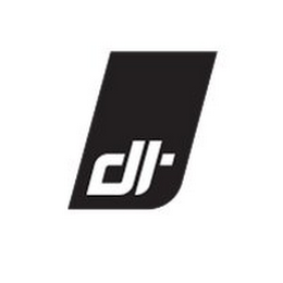 D logo