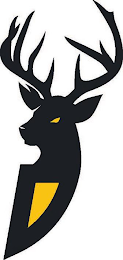 D logo