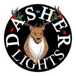 D-A-S-H-E-R LIGHTS logo
