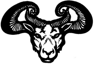D D logo
