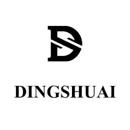 D DINGSHUAI logo
