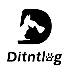 D DITNTLOG logo