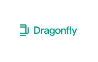 D DRAGONFLY logo
