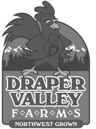 D DRAPER VALLEY FARMS NORTHWEST GROWN logo