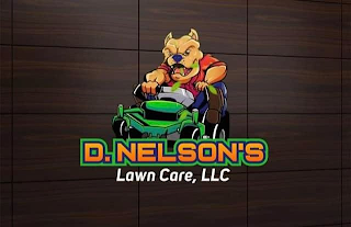D. NELSON'S LAWN CARE, LLC logo