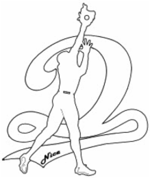 D NICE logo