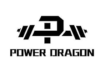 D POWER DRAGON logo