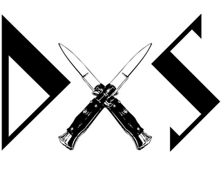 D S logo