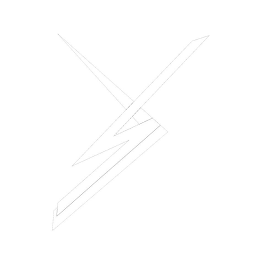 D S logo