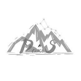 D & S DESIGNS logo