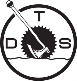 D T S logo