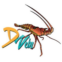 D VEIN logo