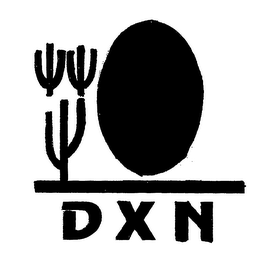 D X N