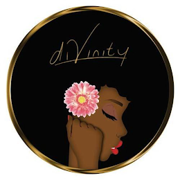 D1V1N1TY logo