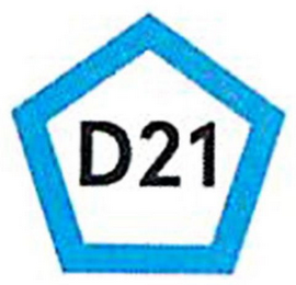 D21 logo