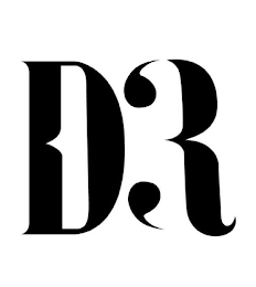 D3R logo